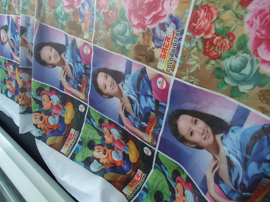 100% het Gordijn van polyestervensters/Vlagstof 110-250 G/GSM