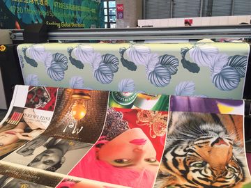 5500W de bruto Hoofdprinter van Machtsepson met 3 Epson het Broodje van het Drukhoofd om Plaattype te rollen