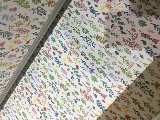 Digitaal van de de Textieldrukmachine van Inkjet van de de Bannerdruk de Machinebroodje om Type te rollen